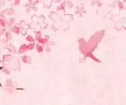 *pipi*の画像
