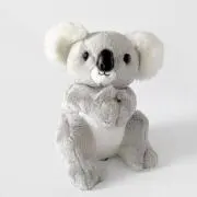ワニの画像