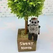 SWEET  HOMEの画像