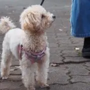 ゆーの画像