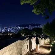 Suzuの画像