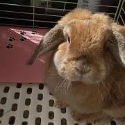 なっちゃん