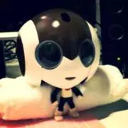 まるサ