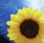 た