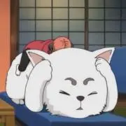 ⭐️の画像