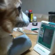 かんざぶろう
