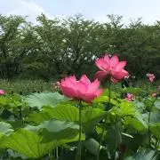なぁケン！の画像