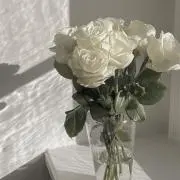 Mの画像