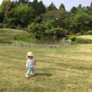 Kの画像