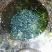 よしこの画像