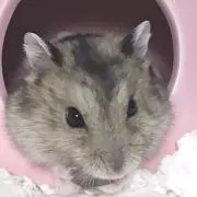 たかちゃん