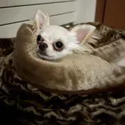 たろ