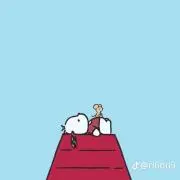 ぽちゃの画像