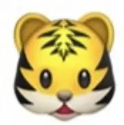 kameの画像