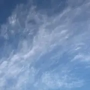 ミッキー