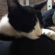 ナガノ