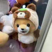 ミキ 次回6/28発送予定の画像