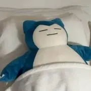 いりの画像