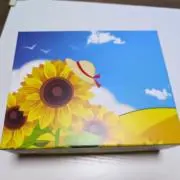 さくらの画像