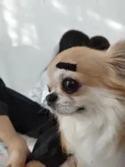 なみ