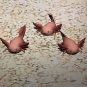 Maosharonの画像