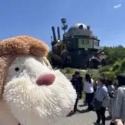 ちゃちゃの画像