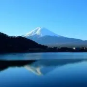 Ｙ.Ｙの画像