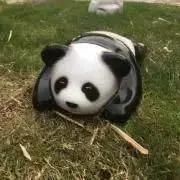 みーこの画像