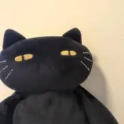 まふゆん　28日発送の画像