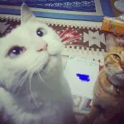 みとみとの画像