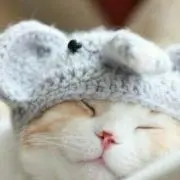 さかもと