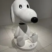 桔梗の画像