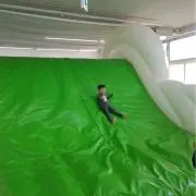 ゆぴこの画像