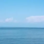 ☆momo☆の画像