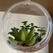 ブイの画像