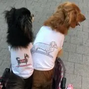 ココナッツ