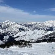 はやとの画像