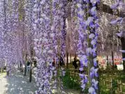 こつこつ屋の画像