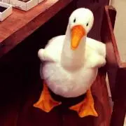 あやぽん❤︎の画像
