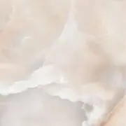 Lillyの画像