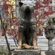 Sphynx