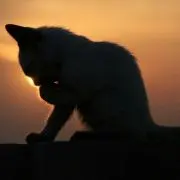 M☆