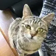 もおりいの画像