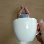 メルミオの画像