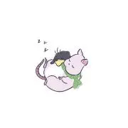 kotoの画像