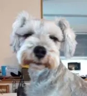 jiiko☺の画像