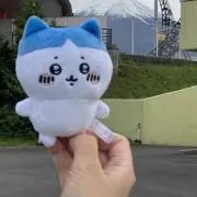 あいの画像