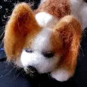犬 (U・ᴥ・U)の画像