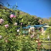 てらちょんありーの画像