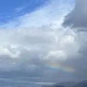 ❁⃘*.゜即購入OK❁⃘*.゜ミー